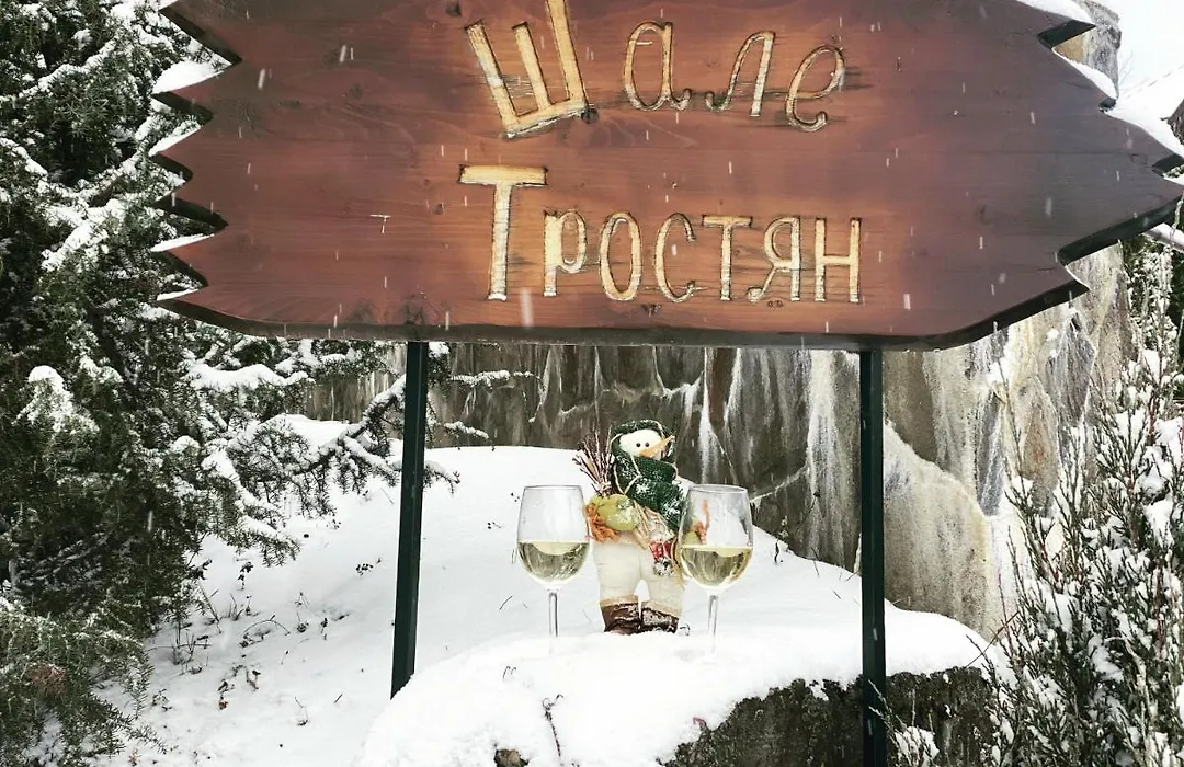 Chalet Trostian-1