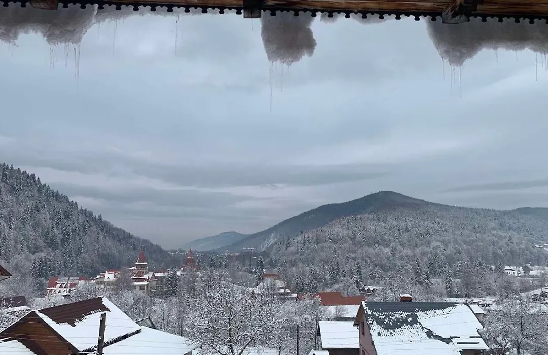 Садиба Древоцвіт-1