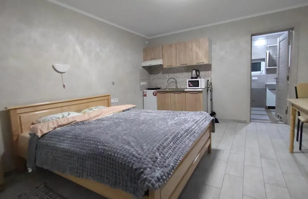 Guesthouse U Dida Viktora-1