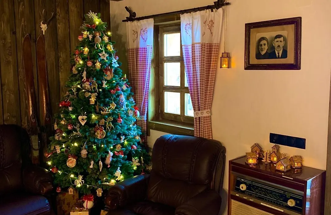Chalet Laitner-1