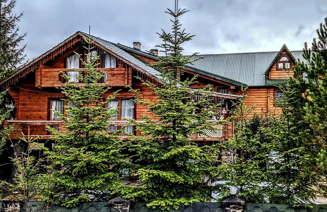 Forest House-1