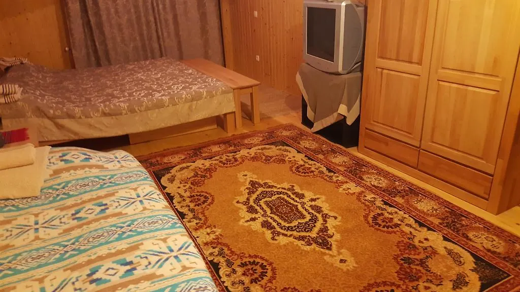 Guest House In Carpathians-1