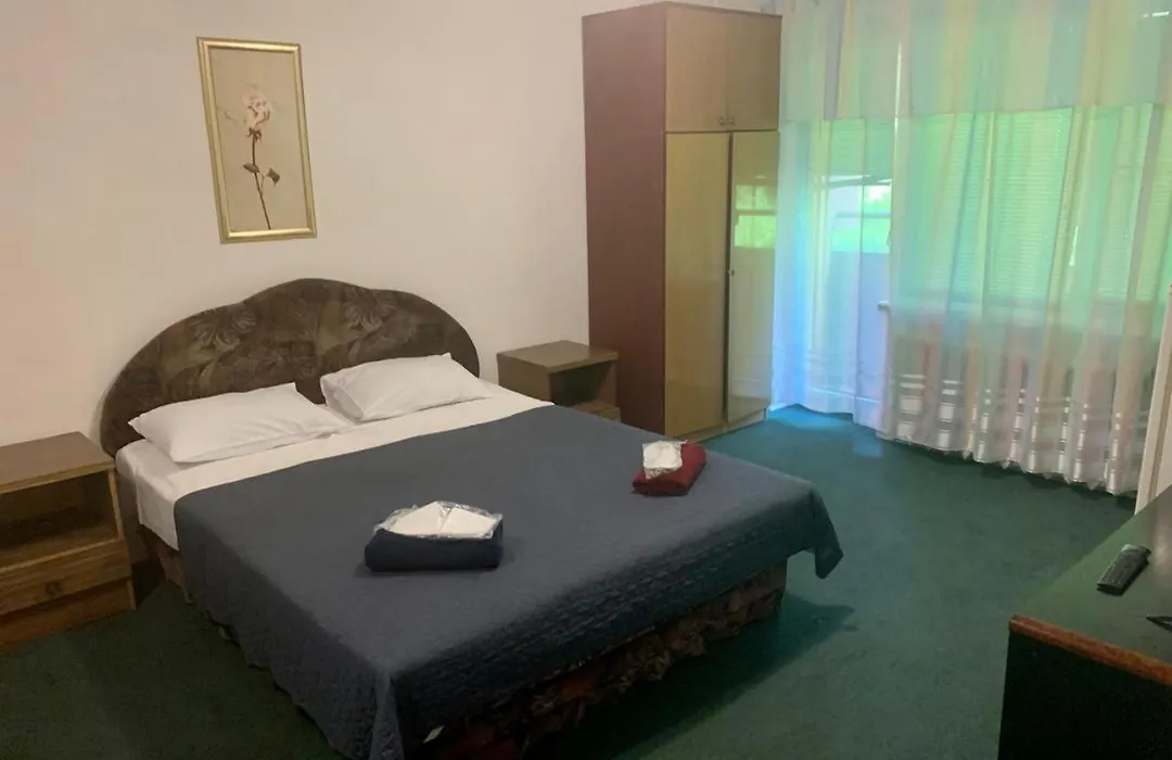 Mini Hotel Vesna-1