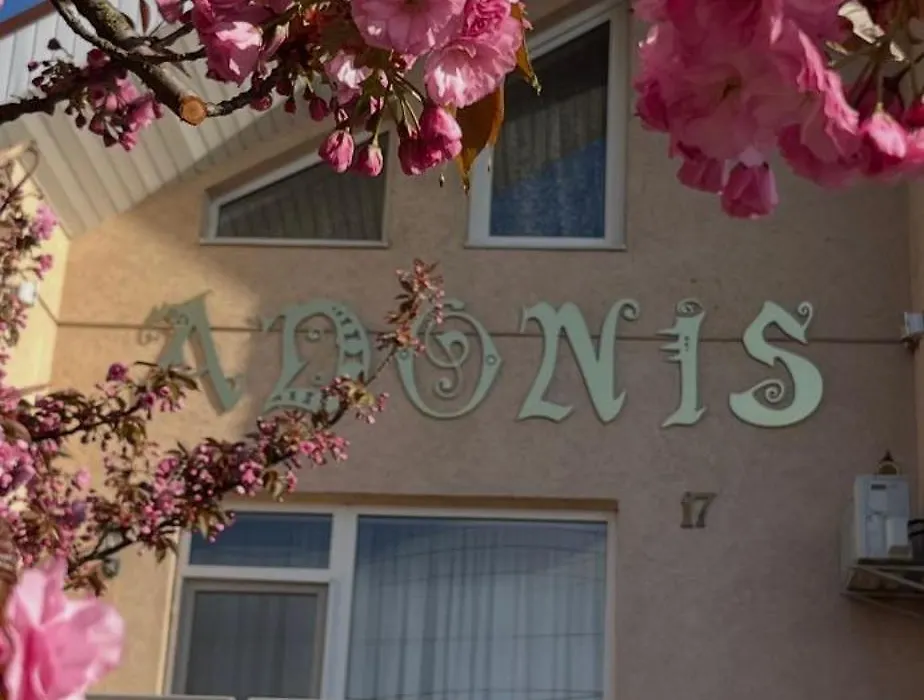 Adonis-1