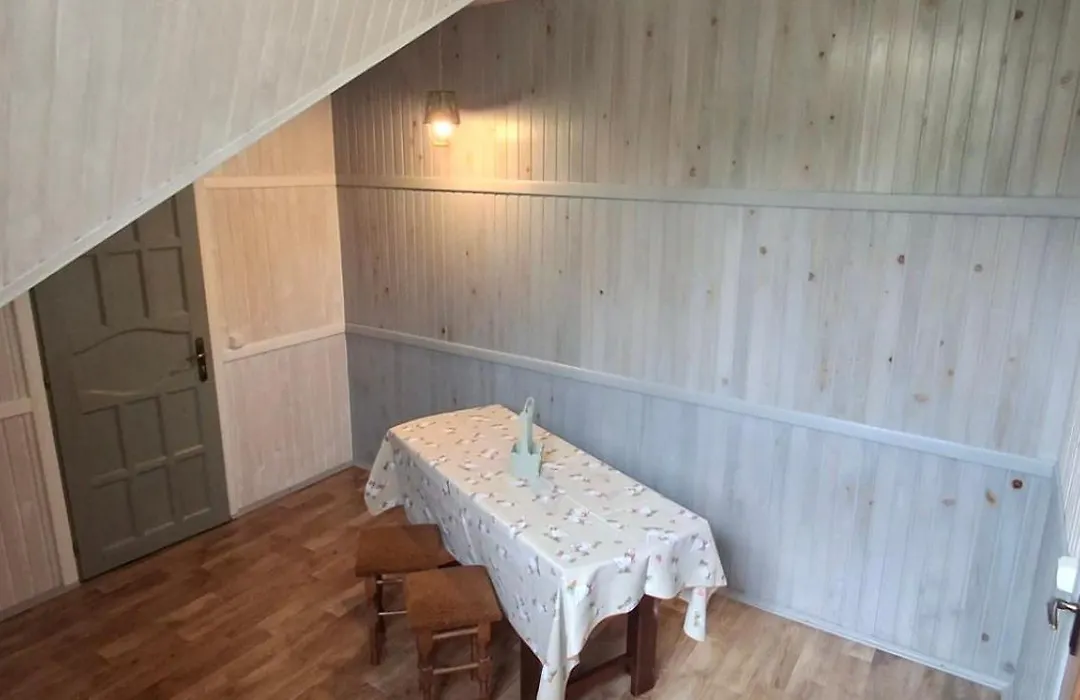 Guest House Mansarda-1