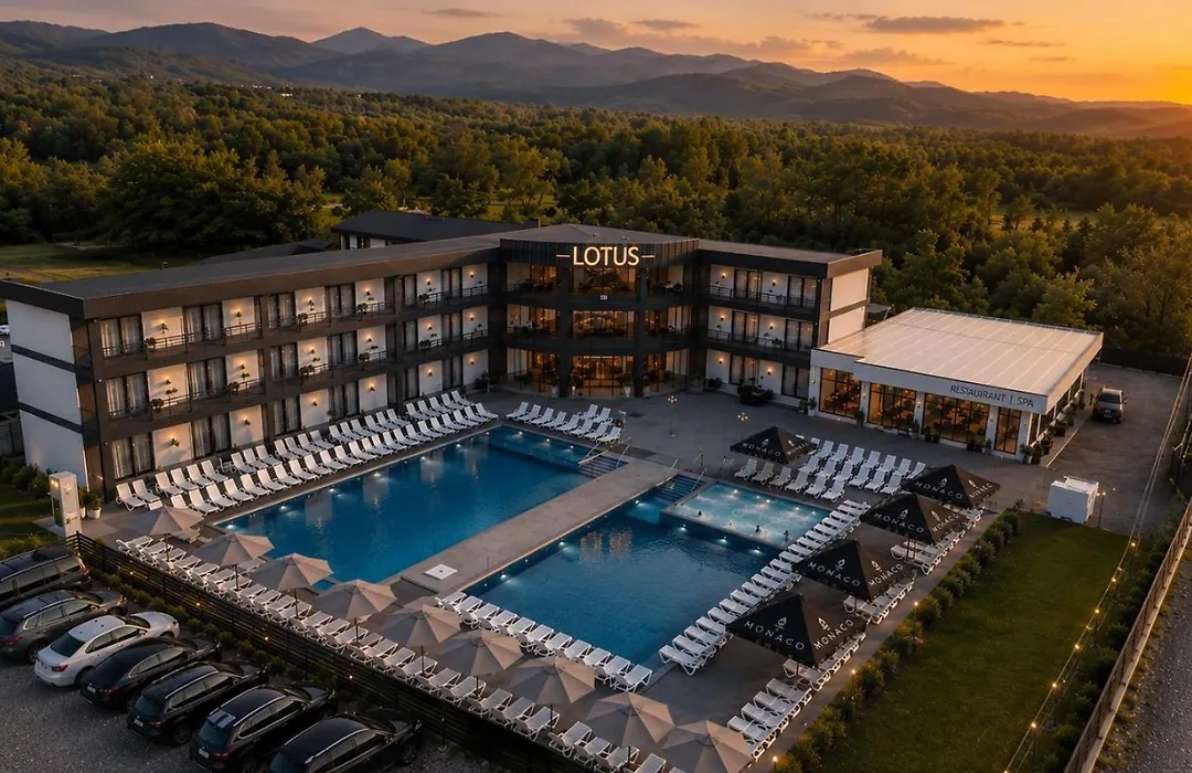Lotus Hotel Solotvino-1
