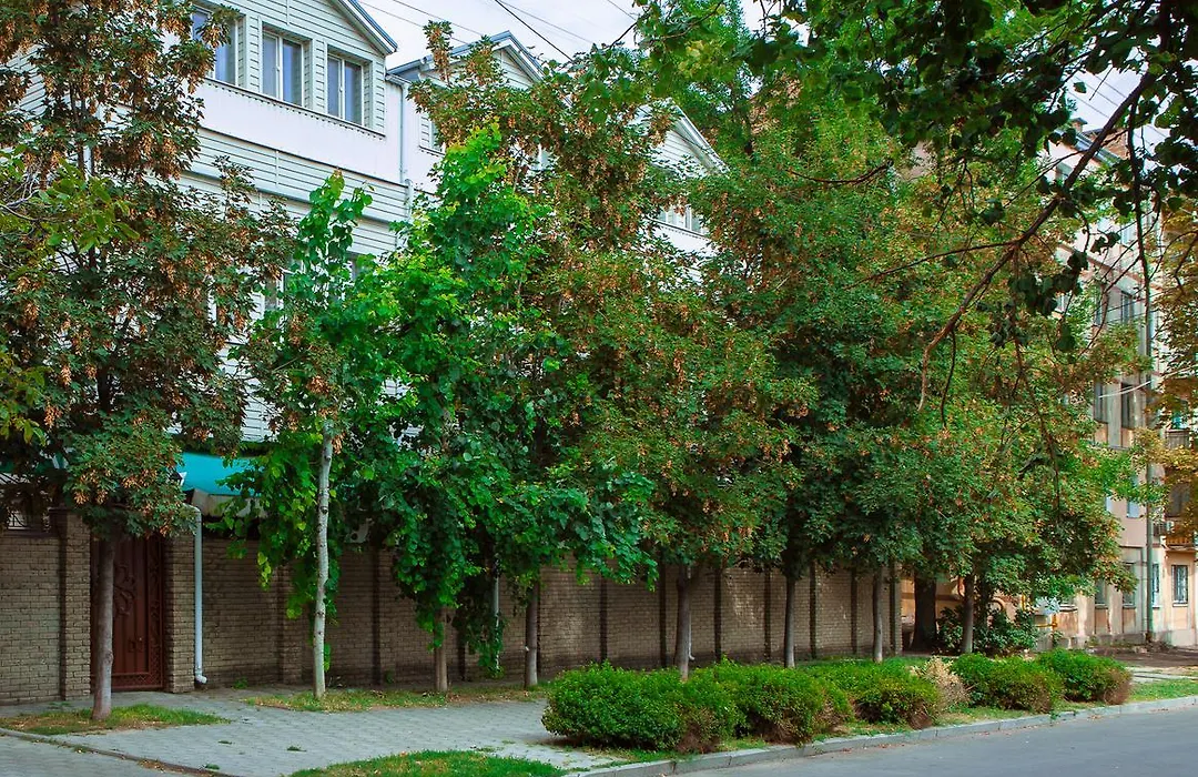 Hotel Diana-1