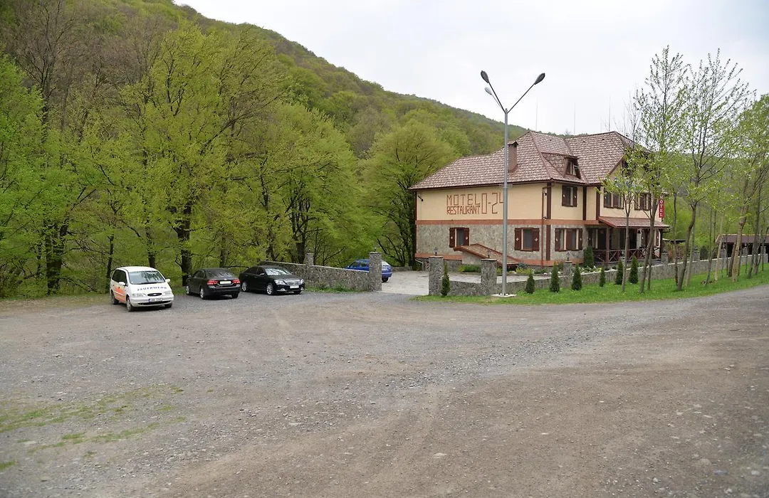 Syni Potoky-1