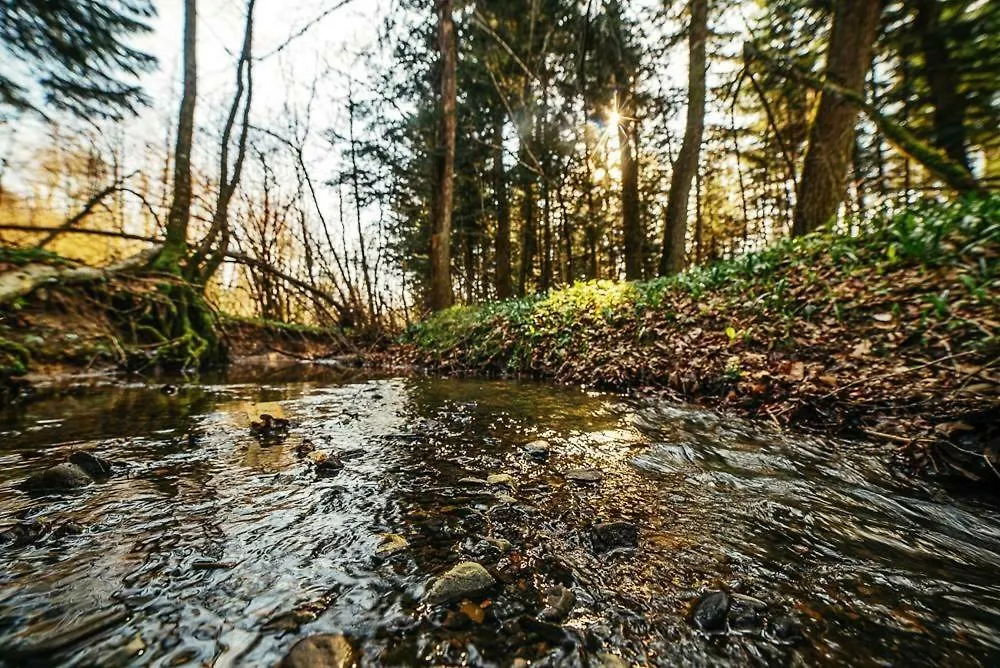 ‘‘FOREST HOUSE ’‘ Будинок для відпочинку-1