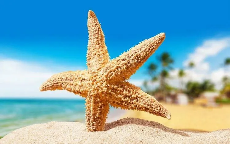 Sea Star Apartments-1