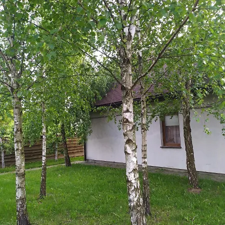 House Of Vitaliy-2