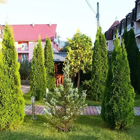 Едельвейс-2