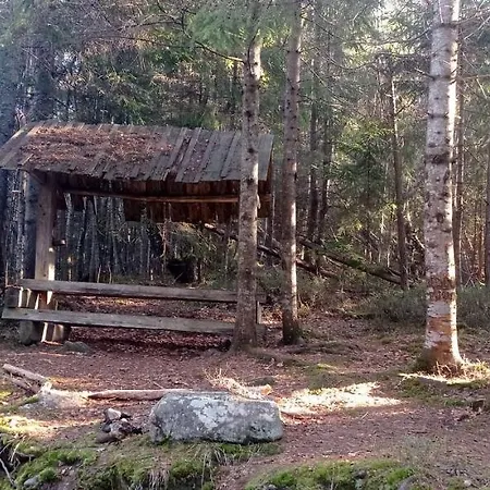Колорит-3