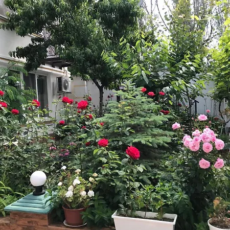 Vilari Odessa-2
