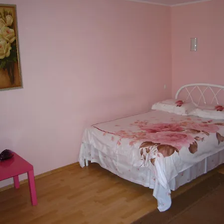 Hotel Service Predslava On Antonovicha Street-3