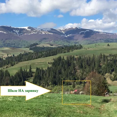 Шале на заринку-2