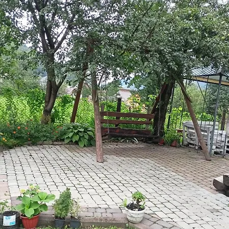 Відпочинок у Євгена та Оксани-3