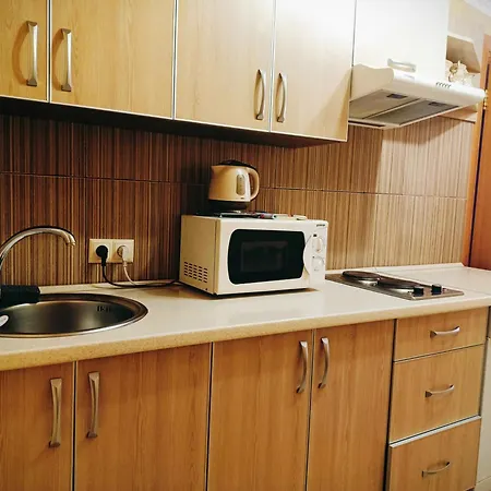 Apartment On Hoholya 90-2