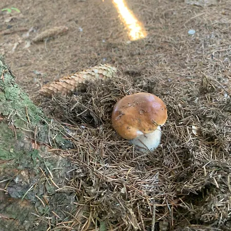Туристичний комплекс Каріна-2