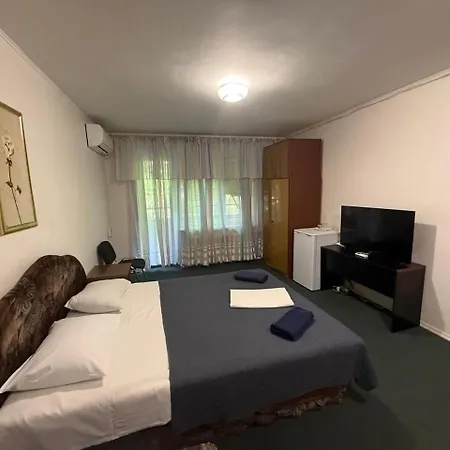 Mini Hotel Vesna-3