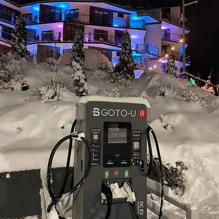 Stella-3
