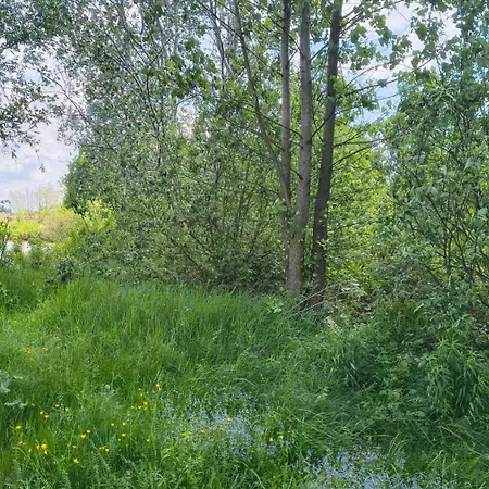 Guest House Dacha-2