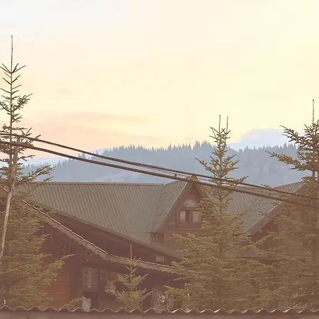 Forest House-3