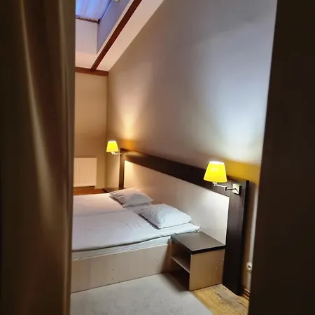 Mini-Hotel Under The Roof-3