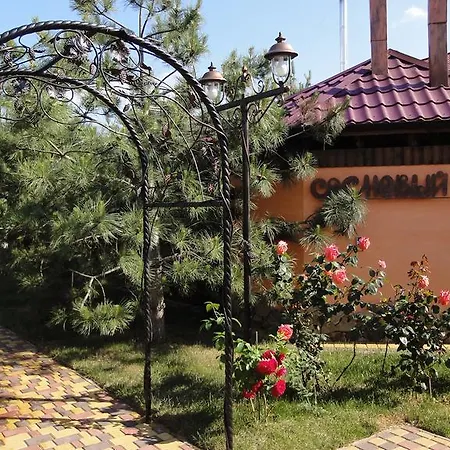 Villa Sosnovy Bor-3