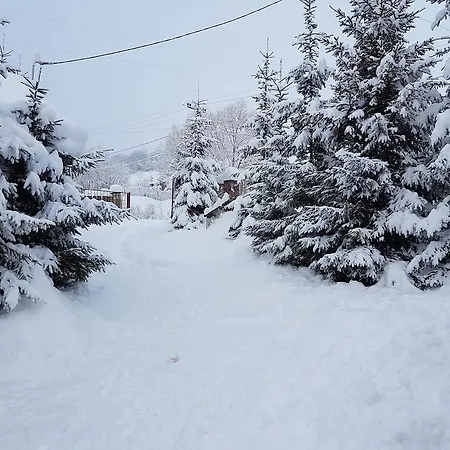 Aspen-3