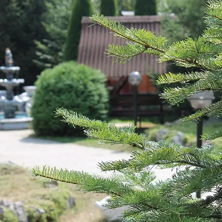 Закарпаття-2