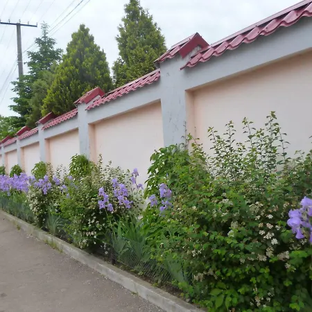 Mini Hotel Уютный дворик-2