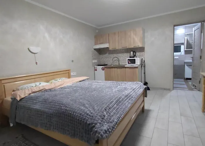 Guesthouse U Dida Viktora Яремче