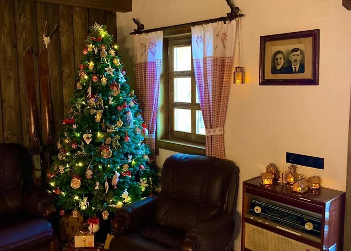 Chalet Laitner Ясіня