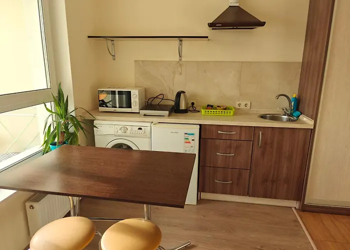Pet friendly S&M Apartments - Zarichna Kyiv