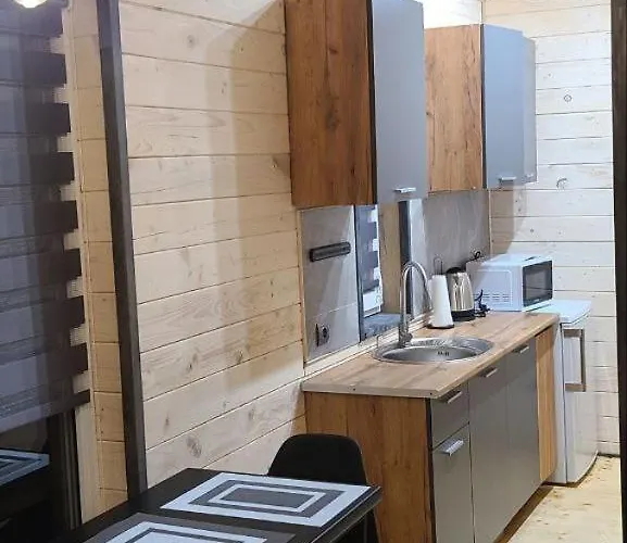Карпати котедж Анастасія Сколе