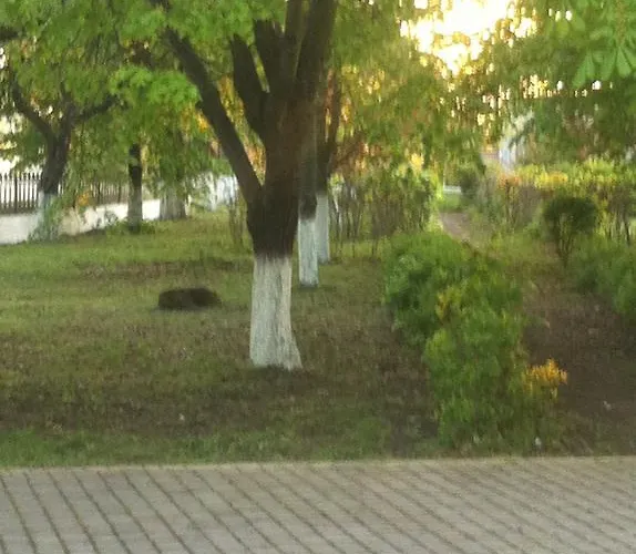 Пірошка Готель Берегове