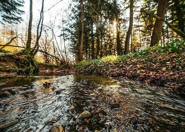 ‘‘FOREST HOUSE ’‘ Будинок для відпочинку Трускавець
