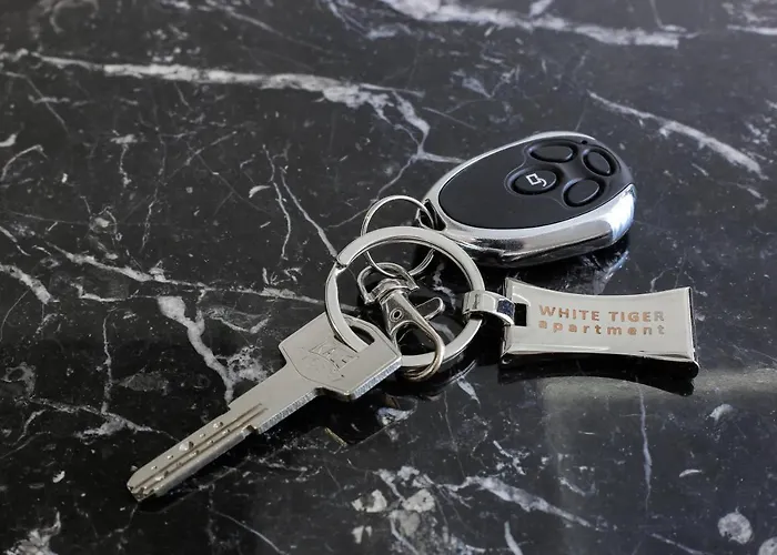White Tiger Apartment In Smart Plaza Kiev